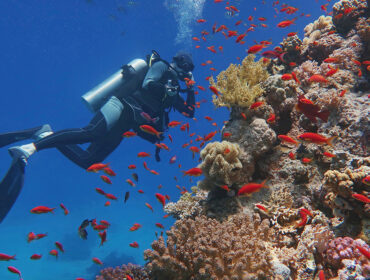 Man scuba diver admiring beautiful colorful coral reef