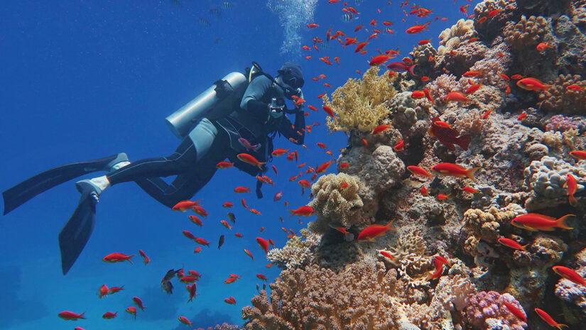 Man scuba diver admiring beautiful colorful coral reef