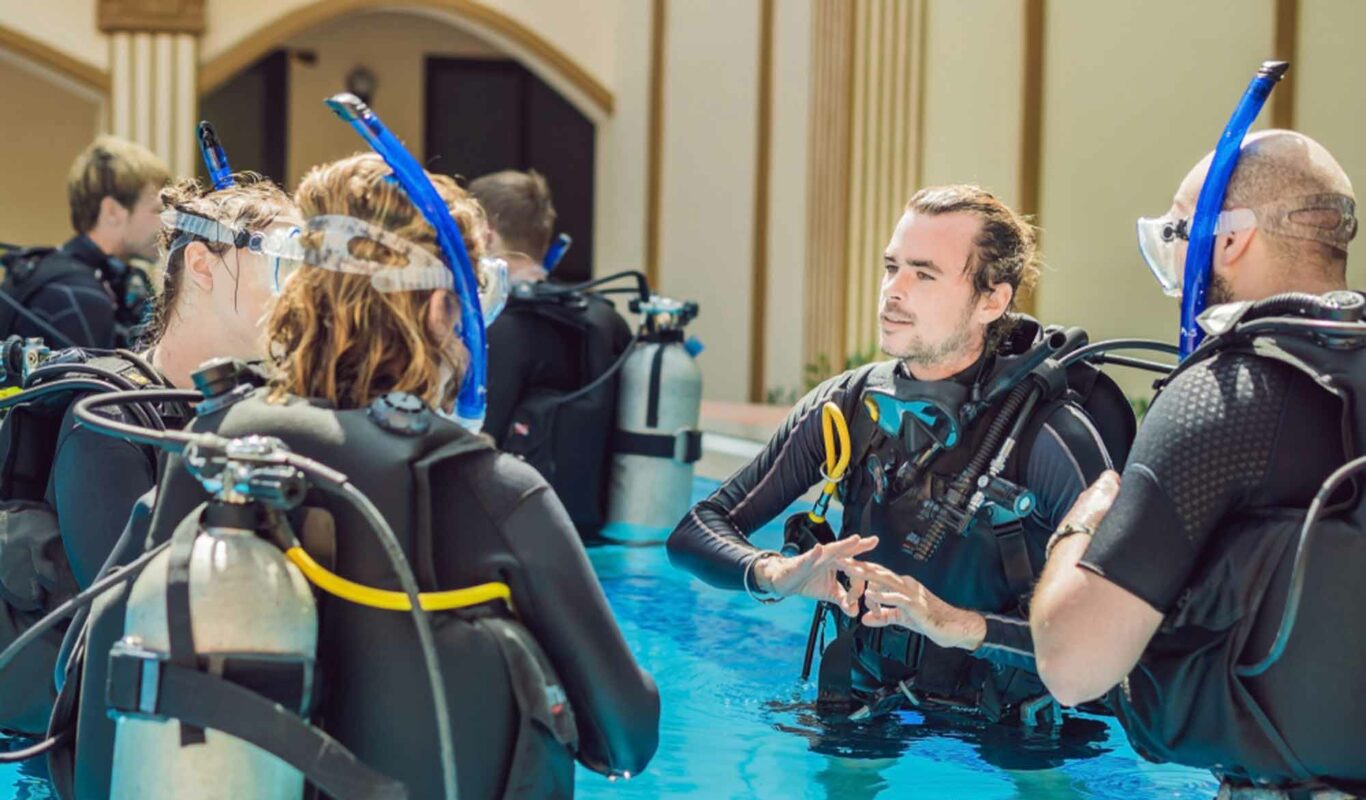 The Different PADI Dive Centers Regular 5 Star More AquaViews
