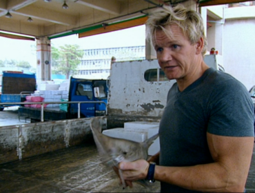 Gordon Ramsay on Shark Bait show