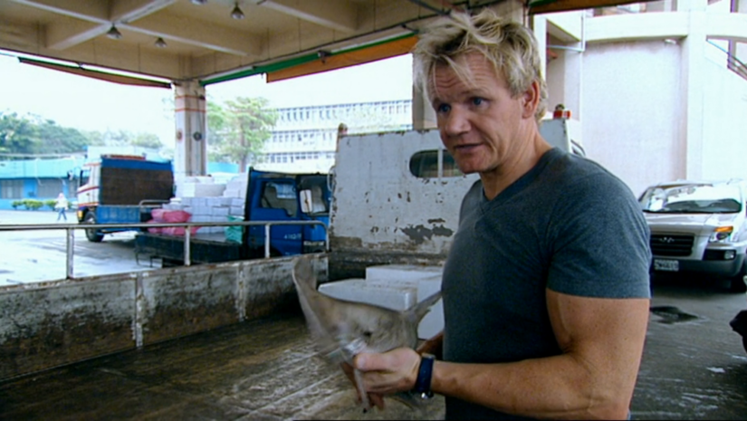 Gordon Ramsay on Shark Bait show
