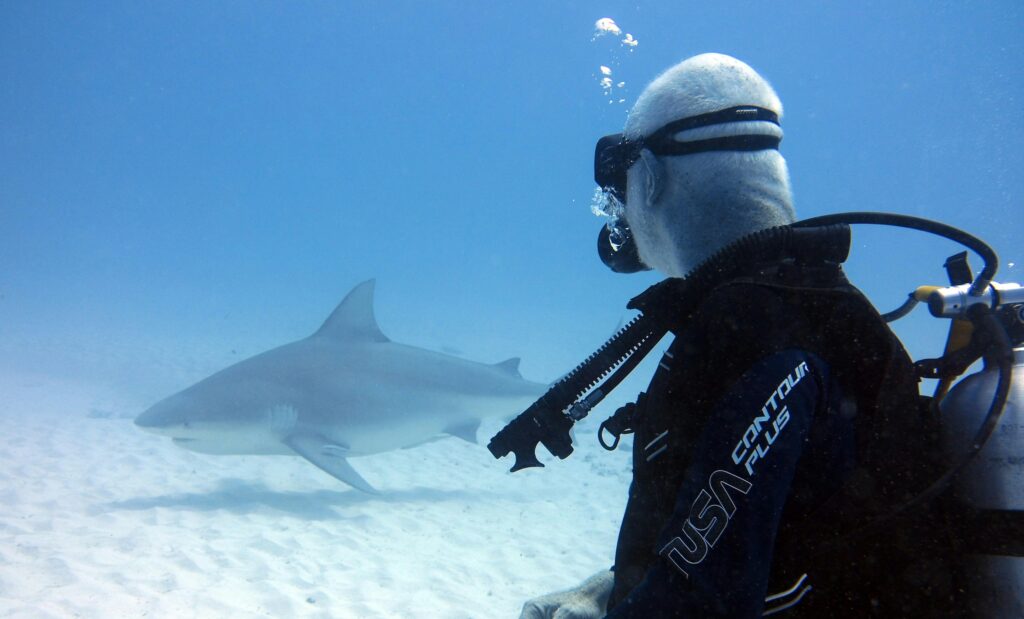 a fully suited diver encountering a shark