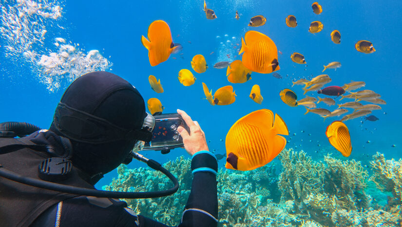 Man scuba diver using underwater smartphone dry box for shooting beautiful yellow coral fish.