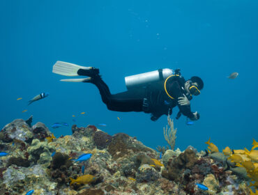 A diver checking the datamask close to a school of yellow fish