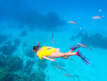 Woman snorkeling around corals in the Caribbean Ocean, in Cozumel Island, Mexico By Jose Luis