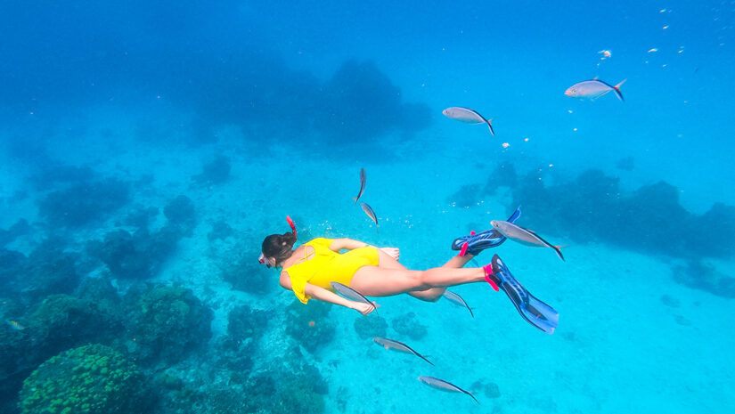 Woman snorkeling around corals in the Caribbean Ocean, in Cozumel Island, Mexico By Jose Luis