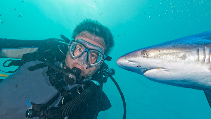 common diving fear