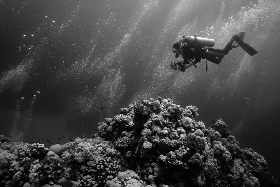 What is Nitrogen Narcosis What You Need to Know