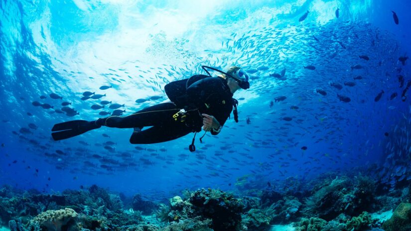 scuba diver swimming over coral reefs