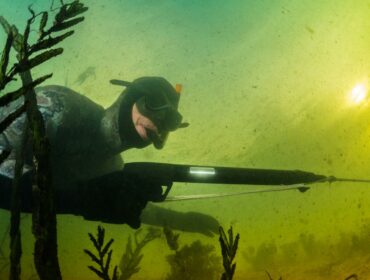 spearfisher near the bottom of the seafloor