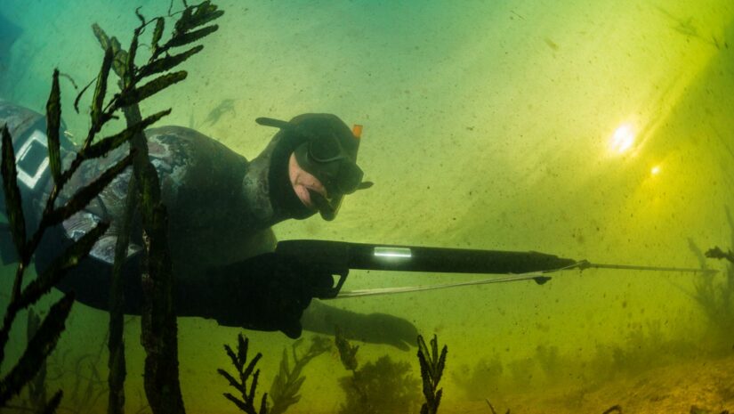 spearfisher near the bottom of the seafloor