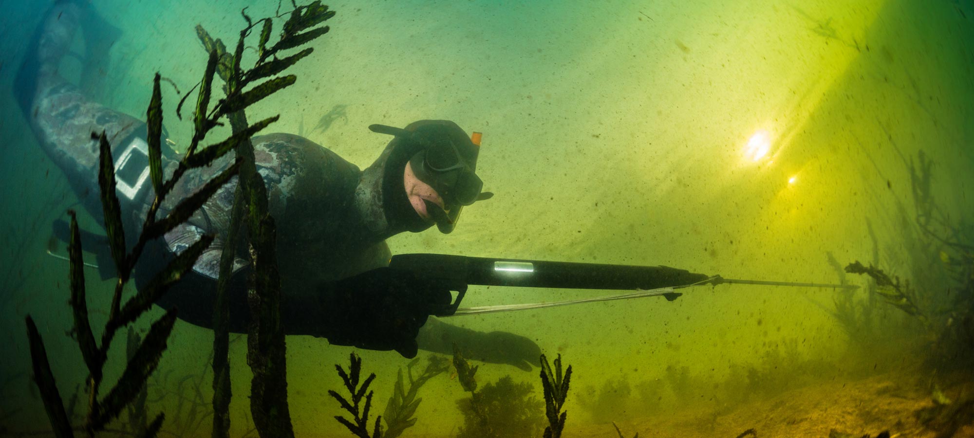 Spearfishing Tips for Beginners