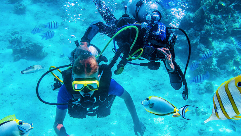 scuba diving to find whales and dolphins in hawaii