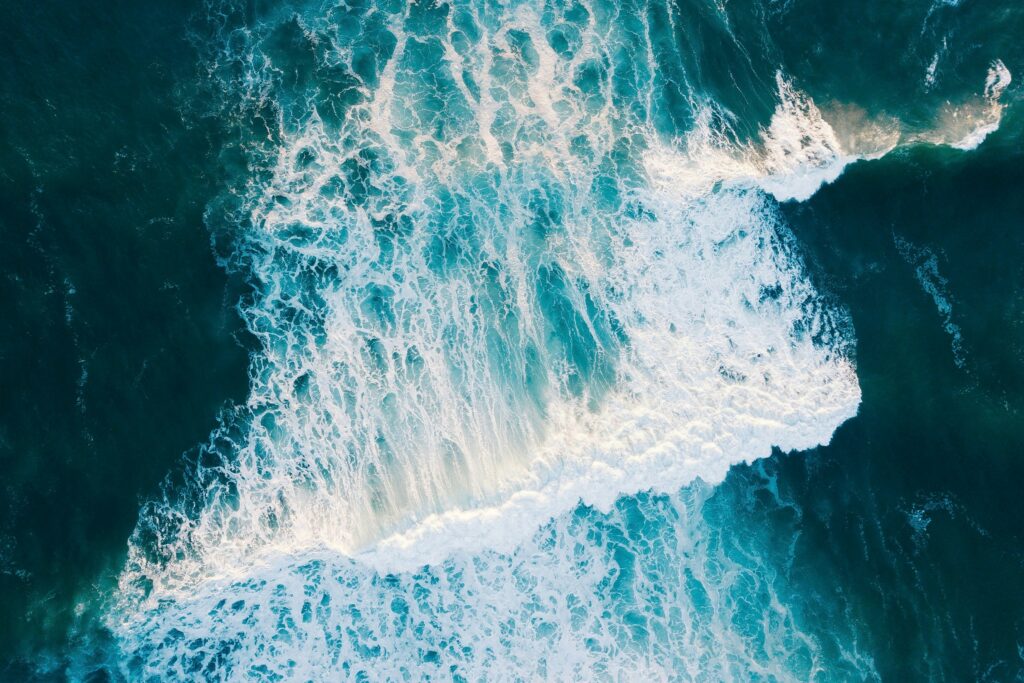 Picture of the atlantic ocean, habitat of Atlantic black sea hares