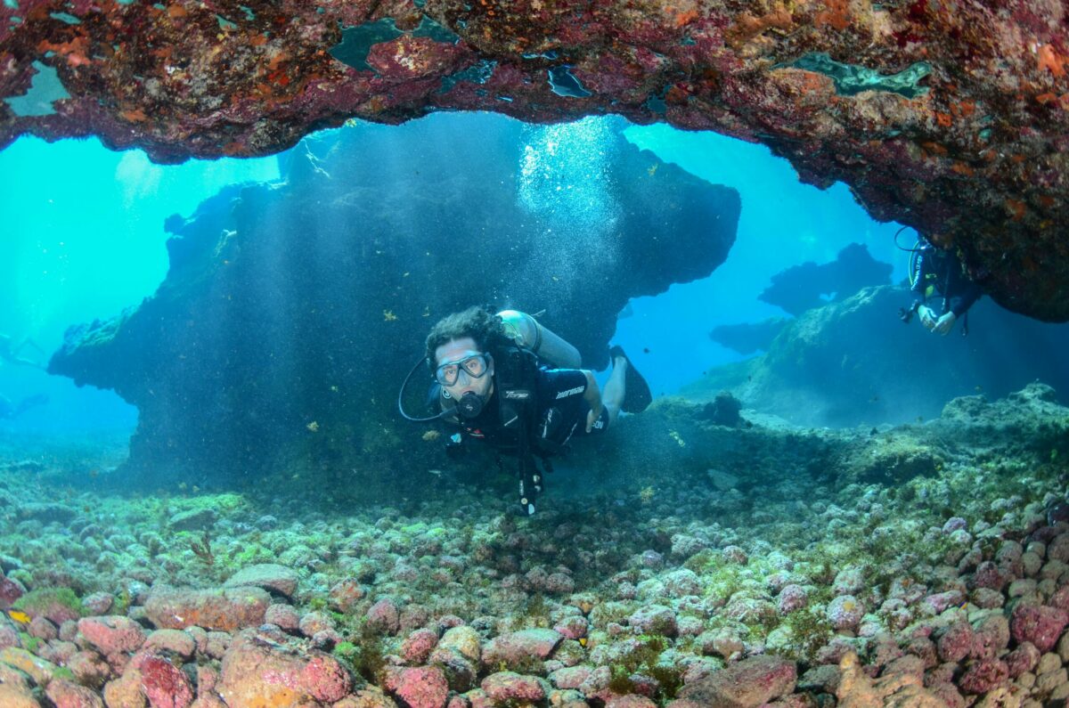Diver in the atlantic ocean