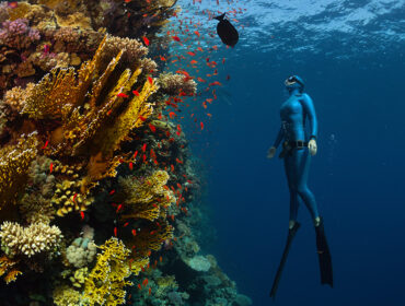 freediving