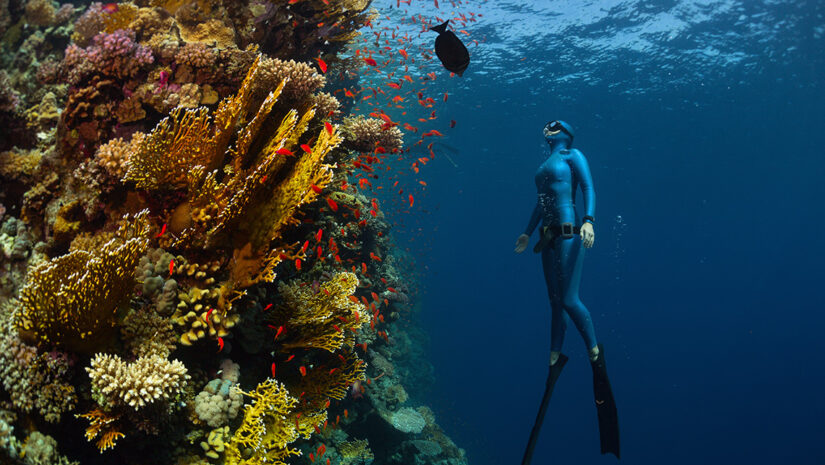 freediving