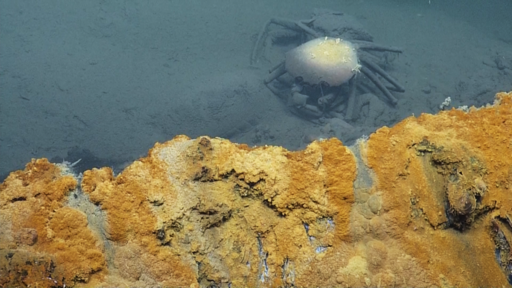 actual photo of the underwater brine pool
