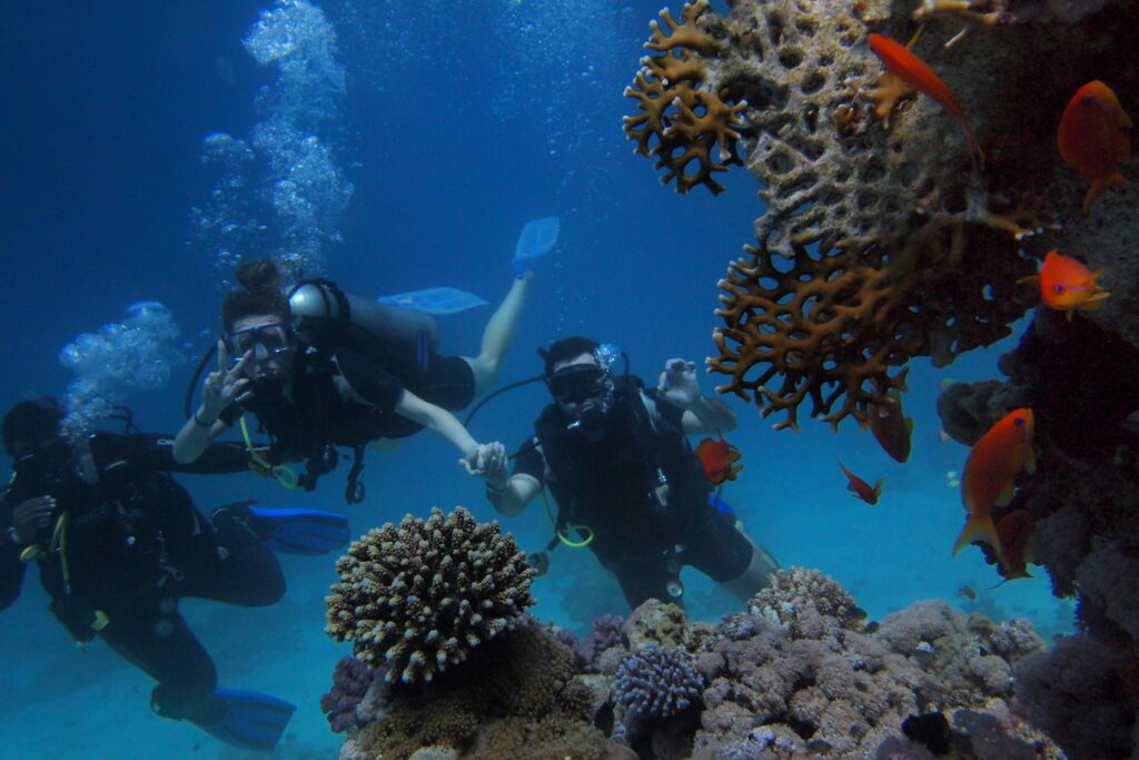 scientists studying the reef