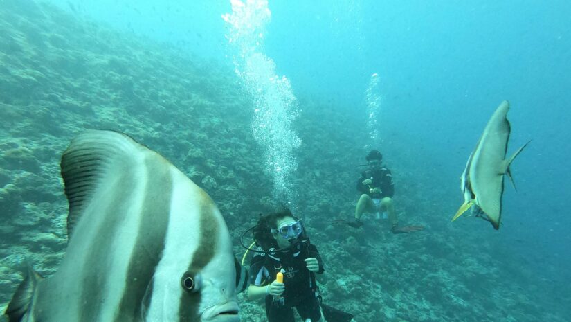 scientists studying fish