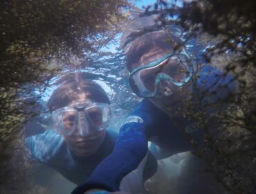 Two snorkelers peeking into marine life