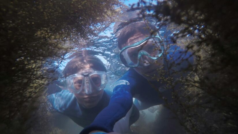 Two snorkelers peeking into marine life
