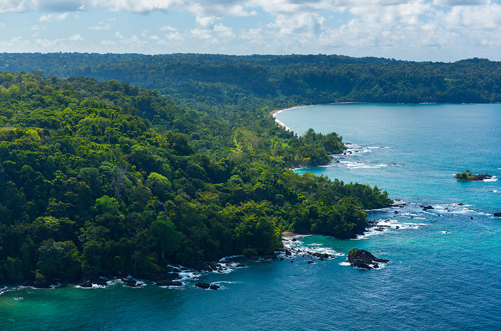 Corcovado National Park, Osa Peninsula, Puntarenas Province, Costa Rica, Central America, America By JUAN CARLOS MUNOZ