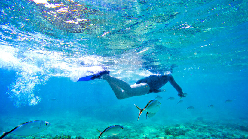 diving in the dominican republic
