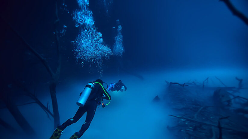 a dive destination that's great for kids