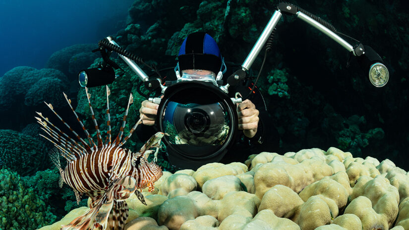 red lionfish fish on reef with an underwater photographer diver By Subphoto