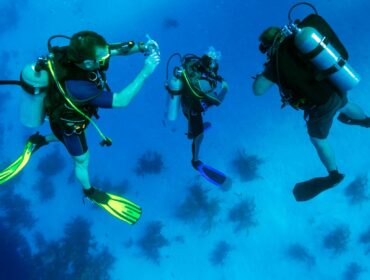 group of scuba divers underwater