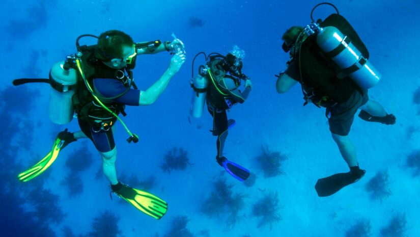 group of scuba divers underwater