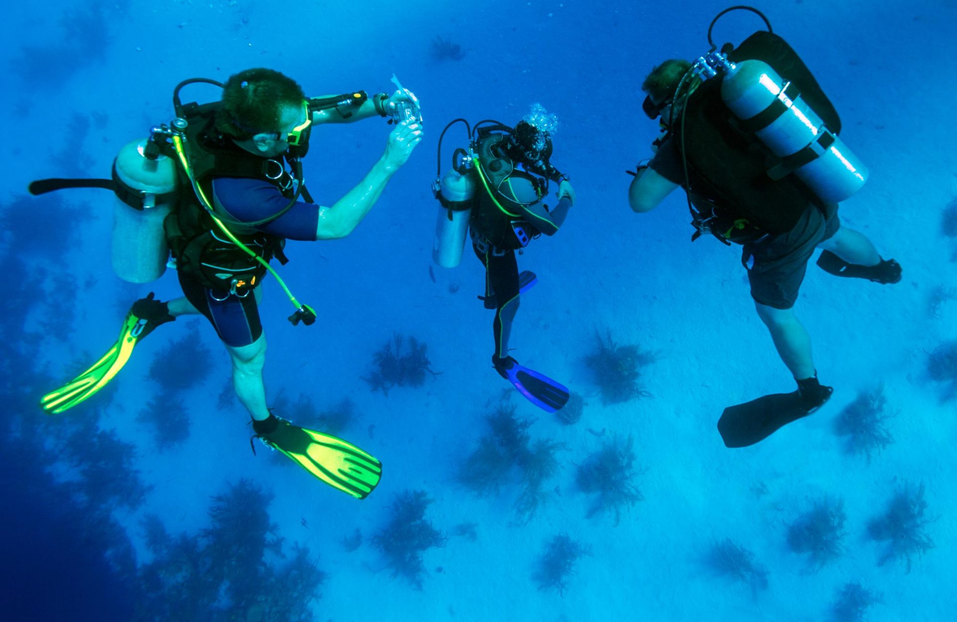 Scuba Diving Equipment List: Items for Your Dive 