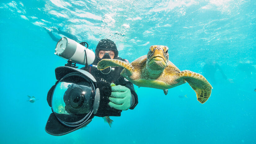 underwater photographer