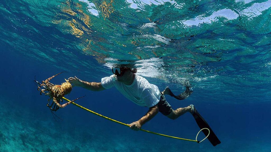 hawaiian sling pole spear for spearfishing
