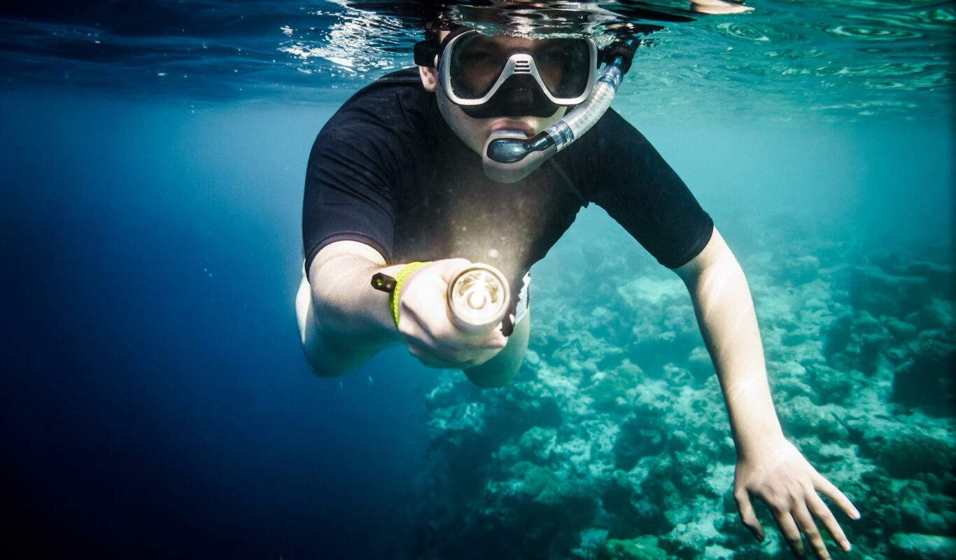 How to Choose a Dive Light for Your Needs DeepDive