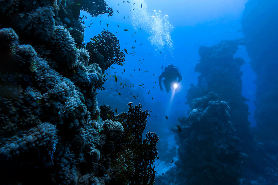 How to Choose a Dive Light for Your Needs DeepDive