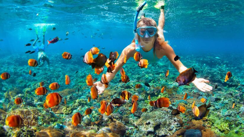 Snorkeling with fishes