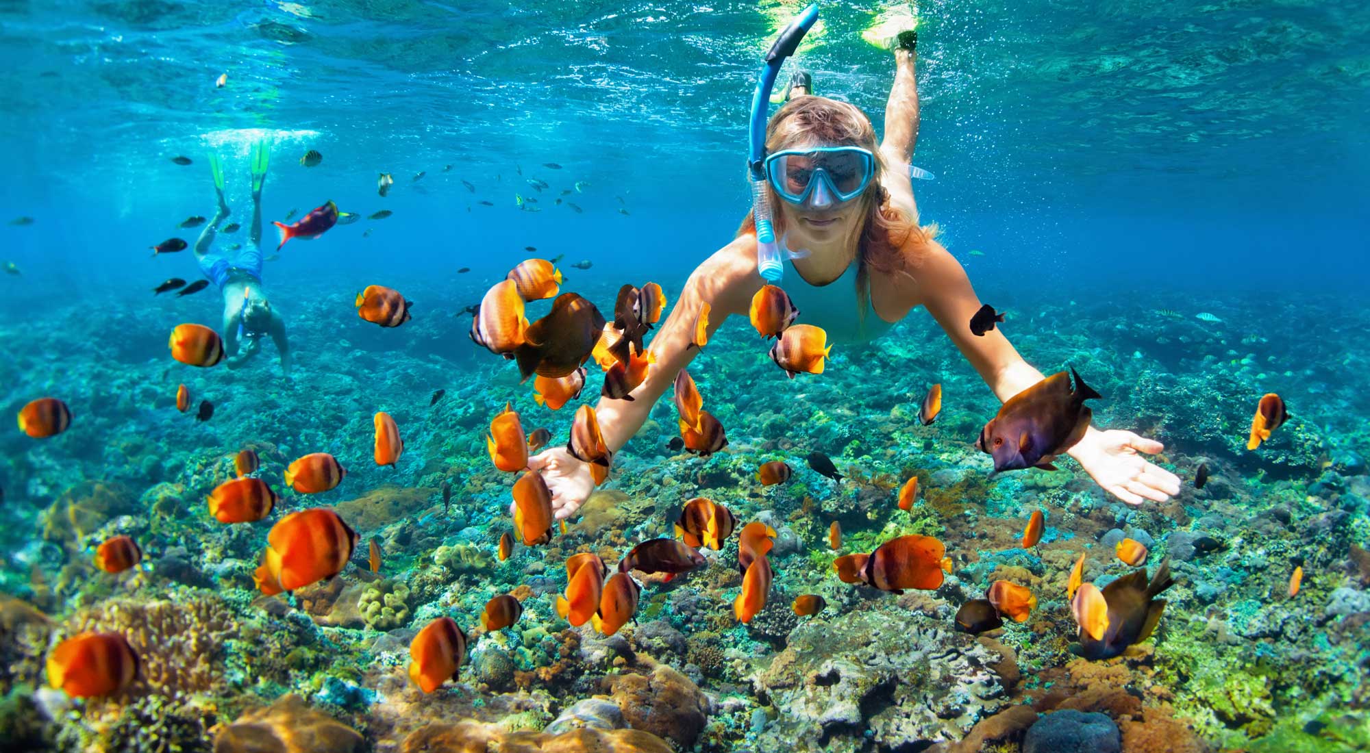 The Difference Between Snorkeling and Scuba Diving