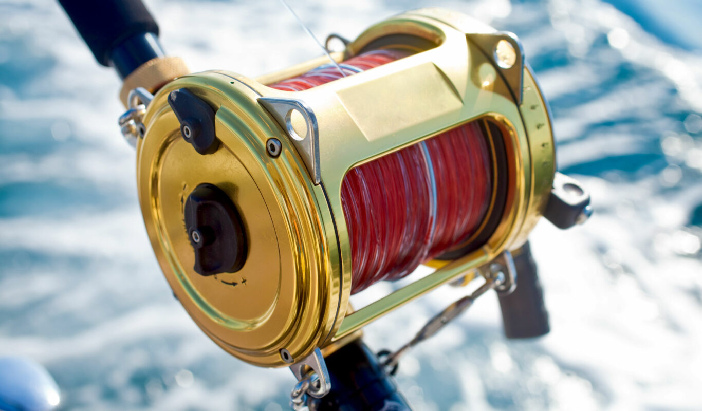 Freshwater Fishing Spinning Reel 3.6:1 Right Hand Bait Ball Bearings With Line 