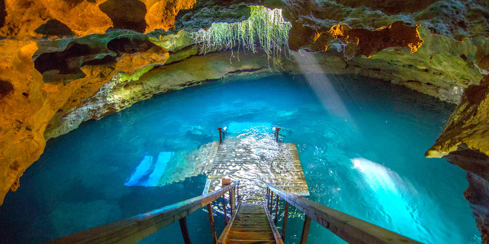 Devil's Den Florida: A Guide to Exploring the Prehistoric Spring