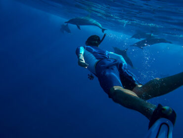 swimming with dolphins