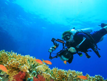 underwater photographer shooting coral fishes