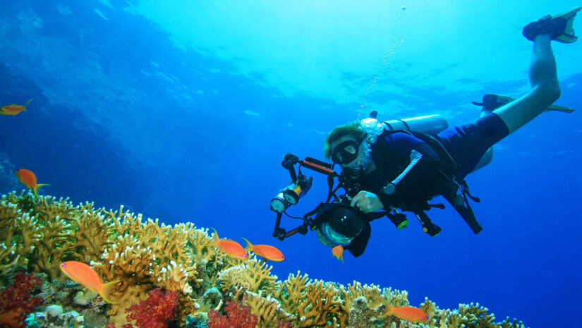 underwater photographer shooting coral fishes