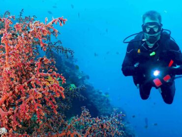 scuba diver using a clip-on flashlight dive accessory