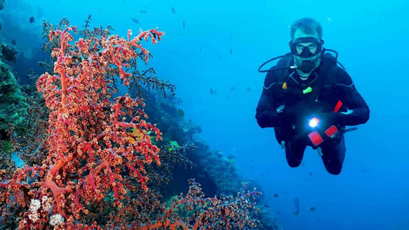 scuba diver using a clip-on flashlight dive accessory