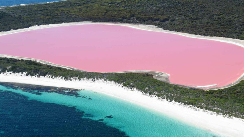 aerial view of Lake Hillier pink lake