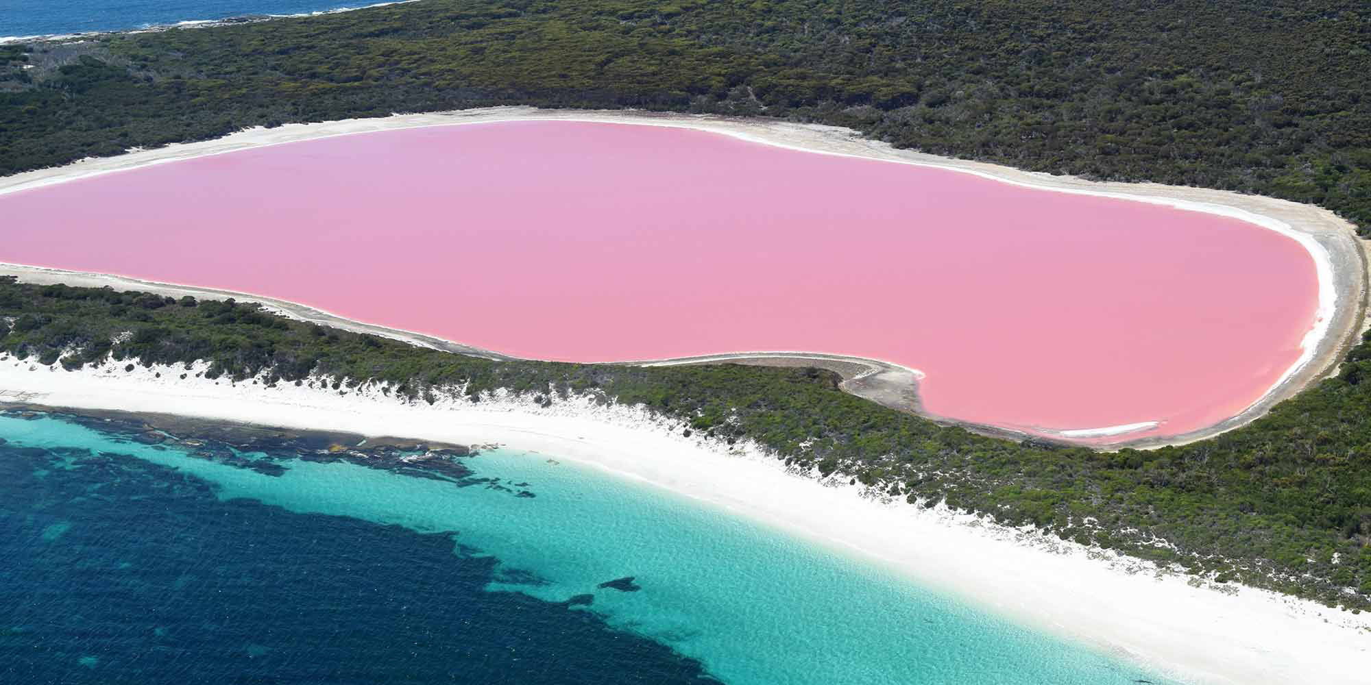 Why is Lake Hillier Pink? - AquaViews - Leisure Pro