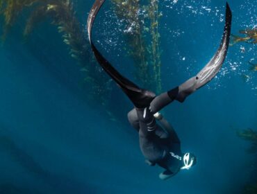 diver wearing Scubapro fins swimming underwater