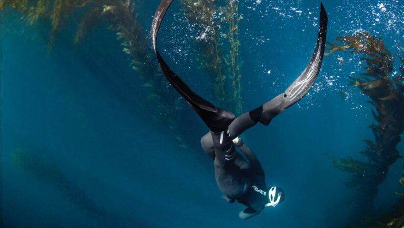 diver wearing Scubapro fins swimming underwater